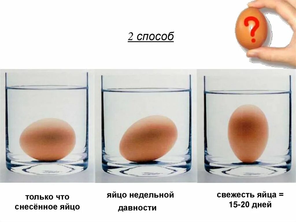 Тухлое ли яйцо. Свежесть яиц. Как определить свежесть яйца. Как узнать свежесть яиц. Свежее яйцо.