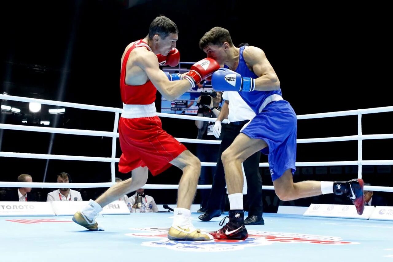 Действующие чемпионы по боксу. Боксер чемпион Московской области. Чемпионат России по боксу.