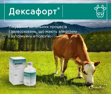 Применение дексафорт для собак