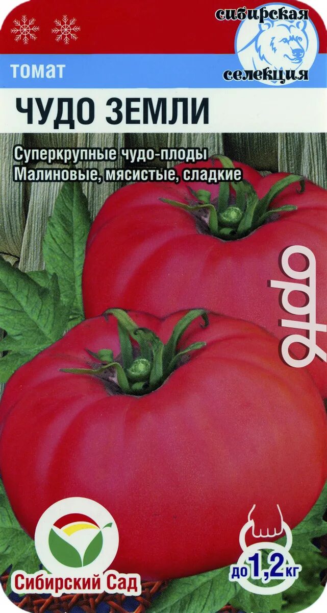 Описание сорта томатов чудо земли. Томат чудо земли 20 шт. (сиб. сад). томат чудо земли сибирский сад. томат чудо сада сиб сад. чудеса земли.