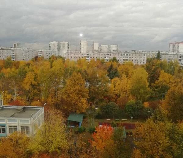 Школа 985. Школа 985. Гбоу школа 2116 зябликово. Школа 2116 зябликово. Солнечная 8 зеленодольск.