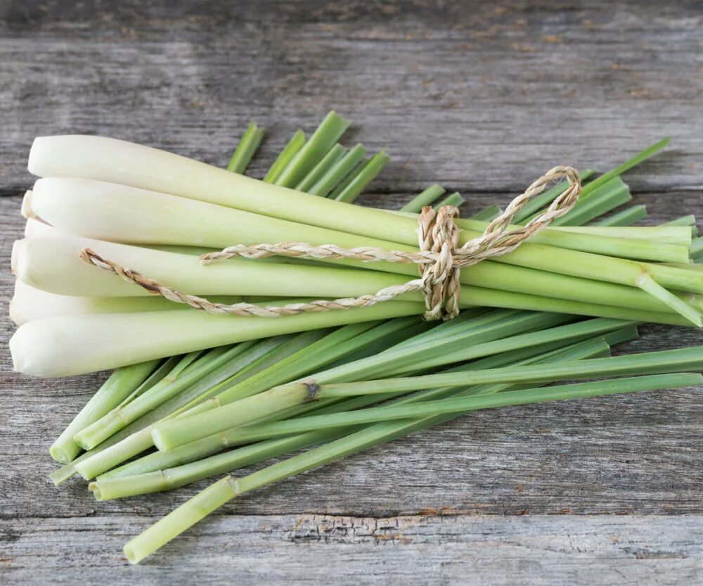 Лемонграсс лимонное сорго. Лимонная трава Lemongrass. Лимонник цимбопогон. Лимонные палочки Лемонграсс. Цимбопогон