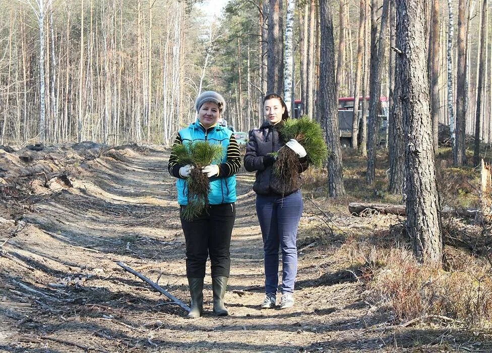Бассейн ВСК "Лесной" - 4 tips from 60 visitors