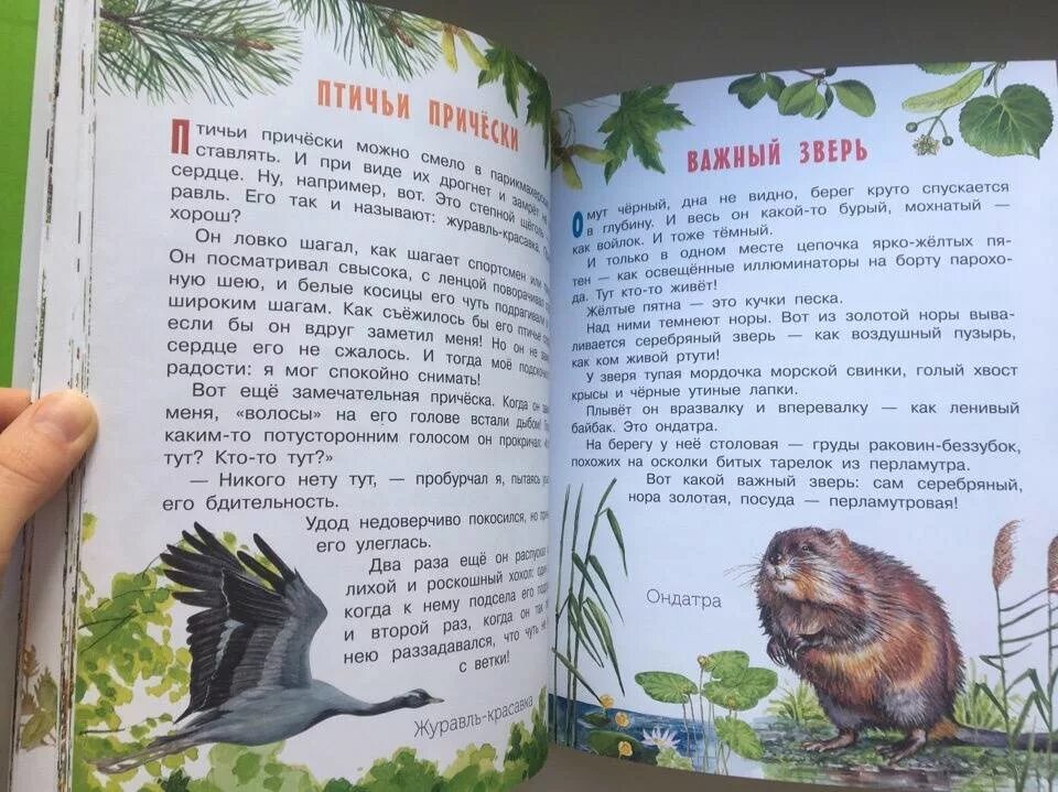 Рассказ про сладкова. Рассказы о природе Сладкова 2 класс. Рассказы н и Сладкова о животных. Н Сладков рассказы 3 класс о животных. Сладков произведения о животных.