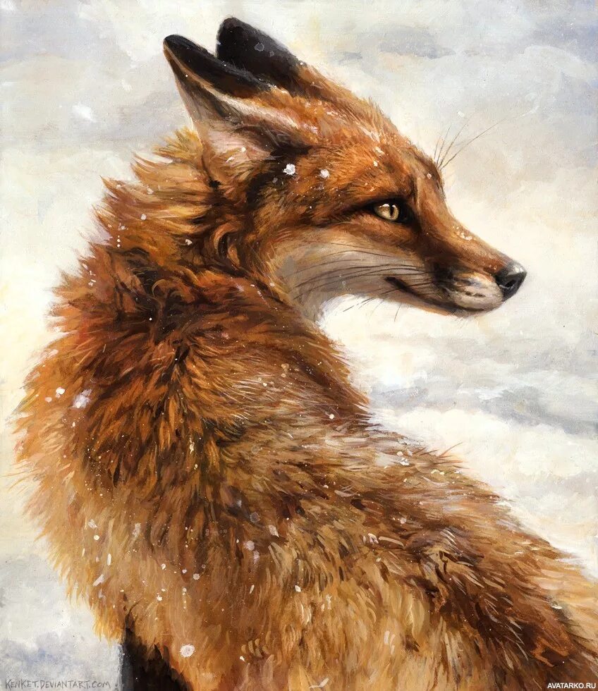 Лисица арт. Kenket fox. лиса смит. лисы арт. лисы ари.