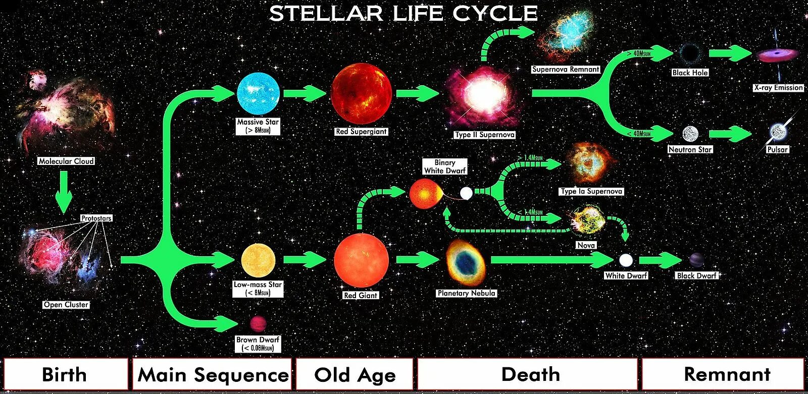 Star life 1. Этапы процесса эволюции звезд. Цикл жизни звезд. Жизненный цикл звезд протозвезда. Жизненный цикл звезды схема.