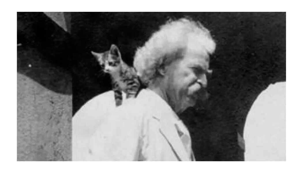 Фото марка твена. Твен кот. Твен кот. Твен кот. Твен кот.