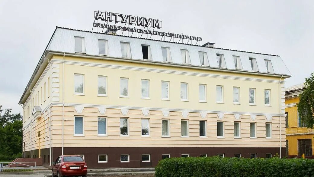 Антуриум ул ползунова 52а барнаул фото