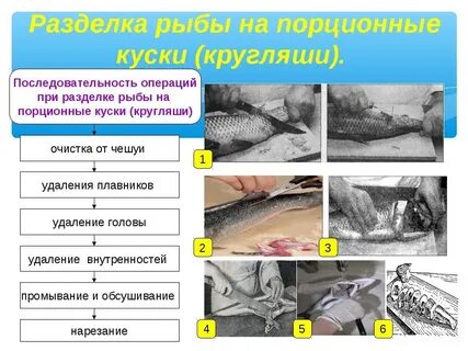 Целые тушки рыб
