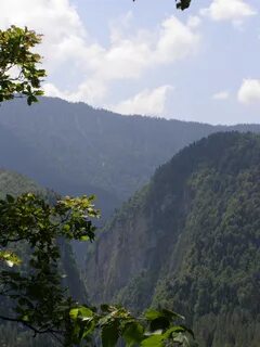Страна абхазия отзывы