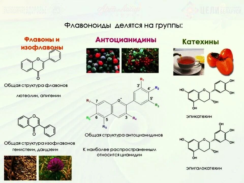 Накопление водорастворимых пигментов антоцианов. Флавоноиды рутин. Флавоноиды классификация Фармакогнозия. Флавоноиды рутин классификация. Флавоноиды формула биофлавоноиды.