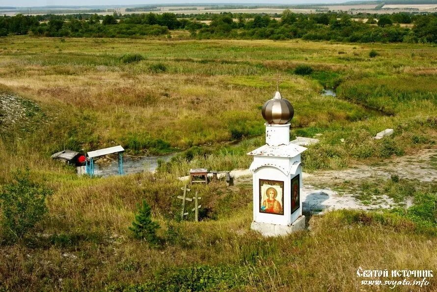 Родник березово. Берёзовка Вешкаймский район Родник. Церковь Березовка Вешкаймский район. Воздвиженский Святой источник Ульяновск. Святой источник Ульяновская область.