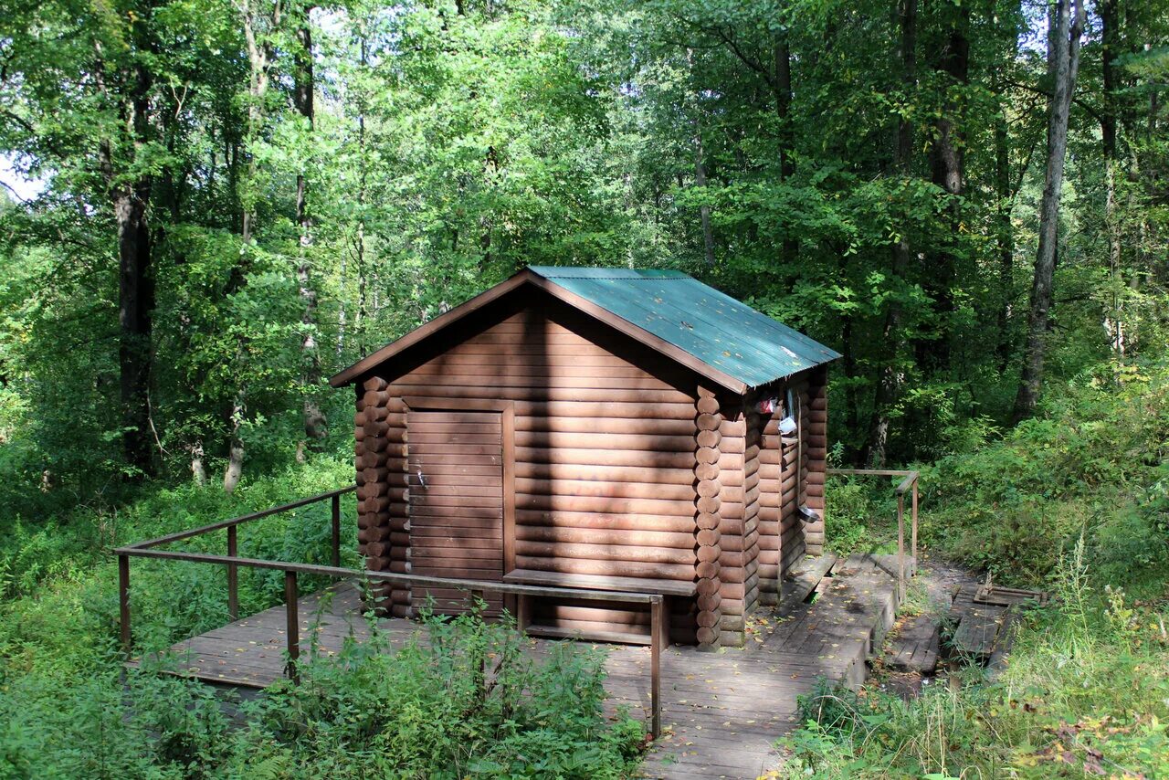 Родник в «есауловском лесу», орехово-зуево. Есауловский лес орехово-зуево родник. Цдт родник орехово-зуево. Орехово-зуевский санаторий касьмедианская улица. Родник орехово зуево.