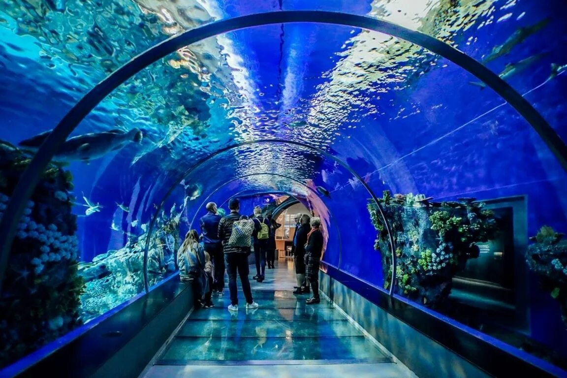 Океанариум картинки. Аквариум Генуи Генуя. Гранд аквариум Хургада. Океанариум «Гранд-аквариум» в Хургаде. Генуэзский аквариум (Генуя, Италия).