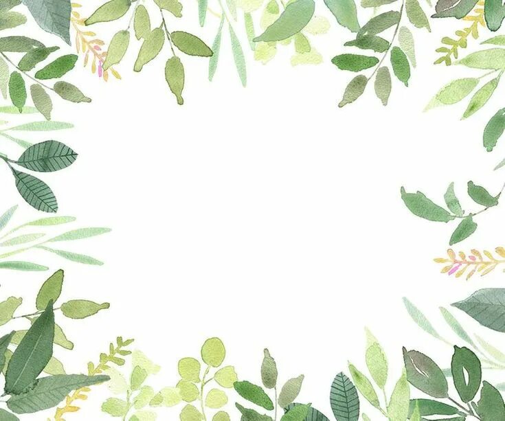 Leaves frames