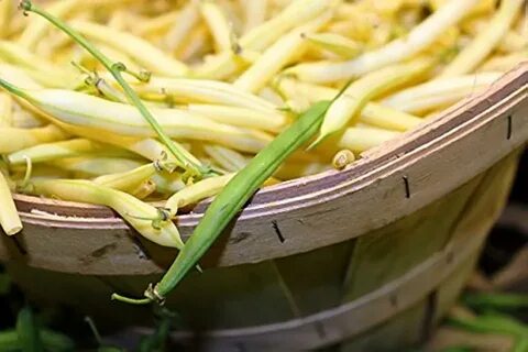 Зеленая и желтая фасоль