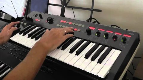 Бархатный лофт korg s