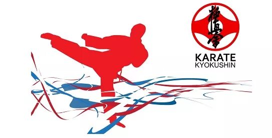 Дополнительная программа карате