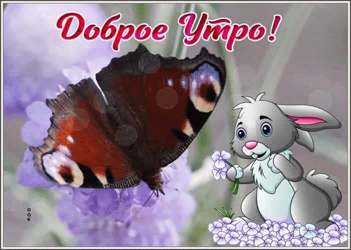 Доброе придоброе. Открытки с добрым. открытка добра. открытки доброе утро.