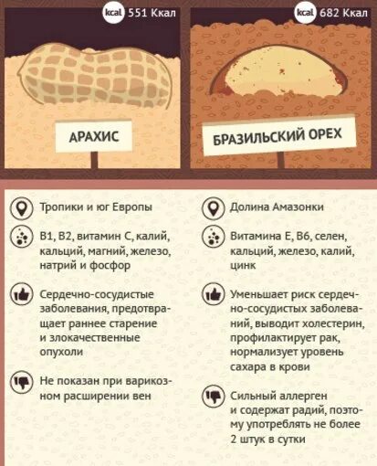 Бразильский орепольза. Бразильский орех польза и вред. Бразильский орех полез