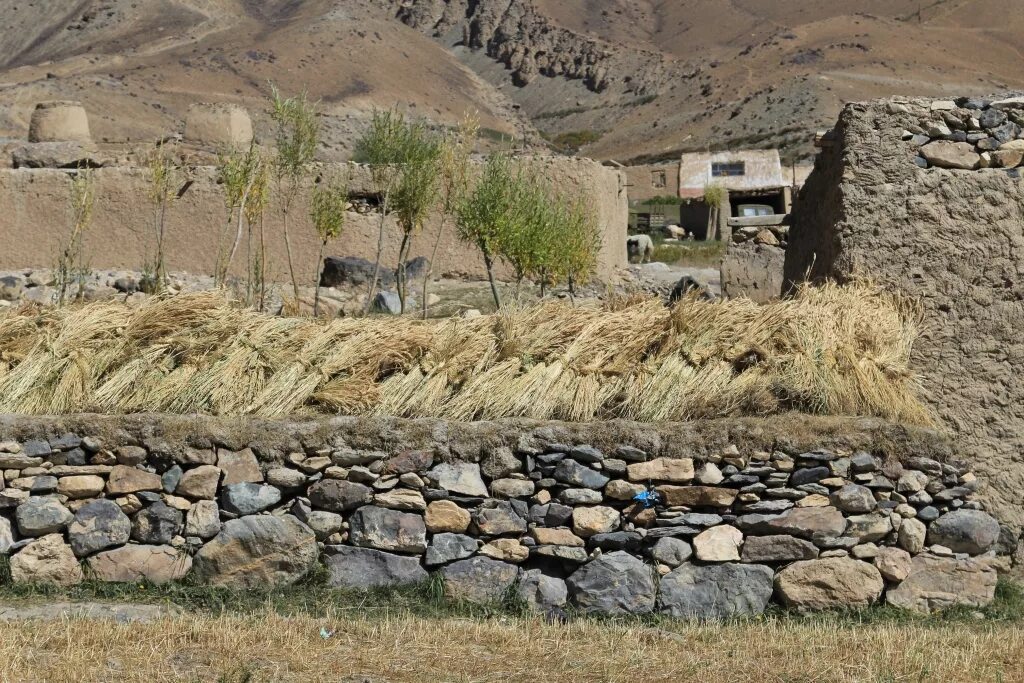 забор в кишлаке