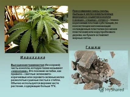 Тгк где