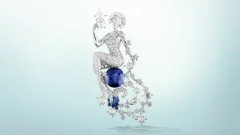 Andrea van cleef
