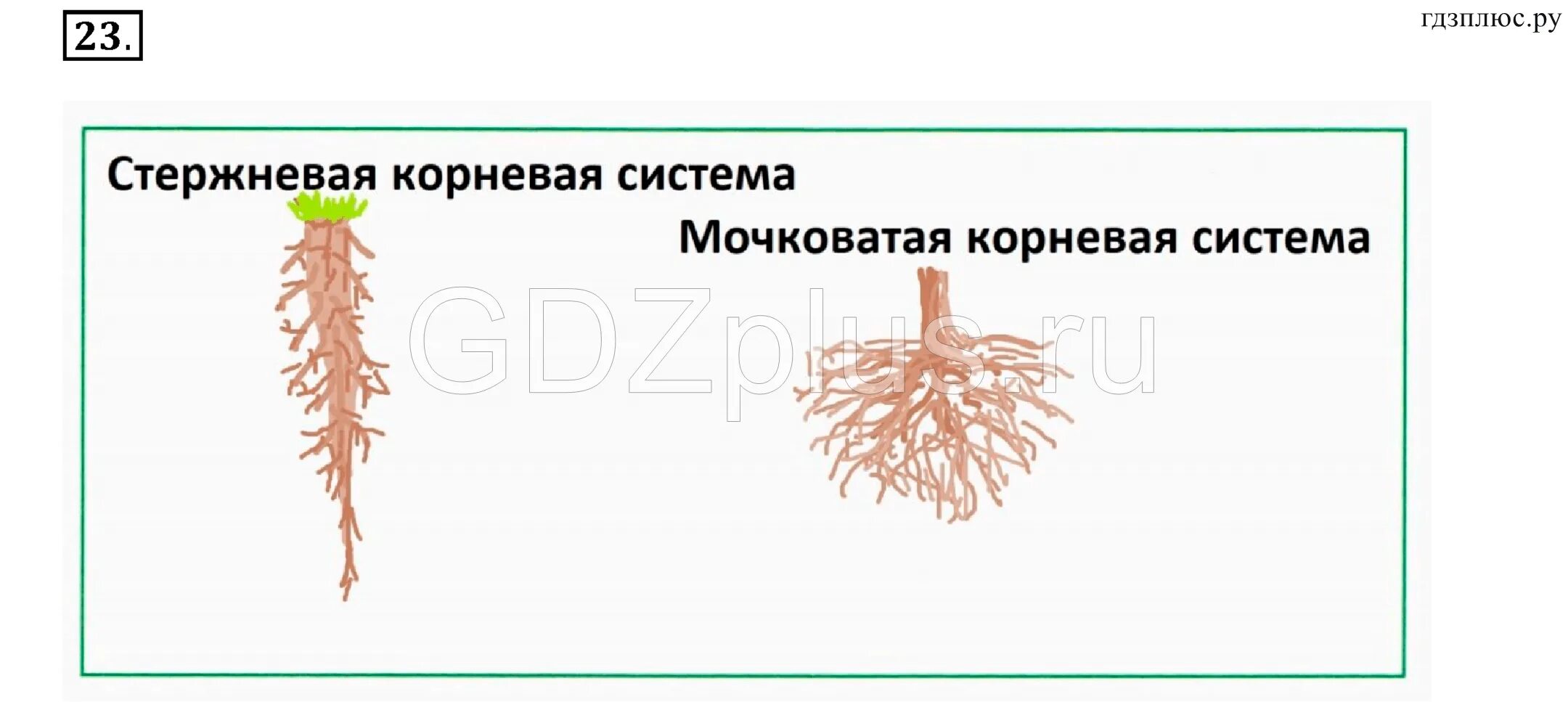 Корень 6 класс вариант 1