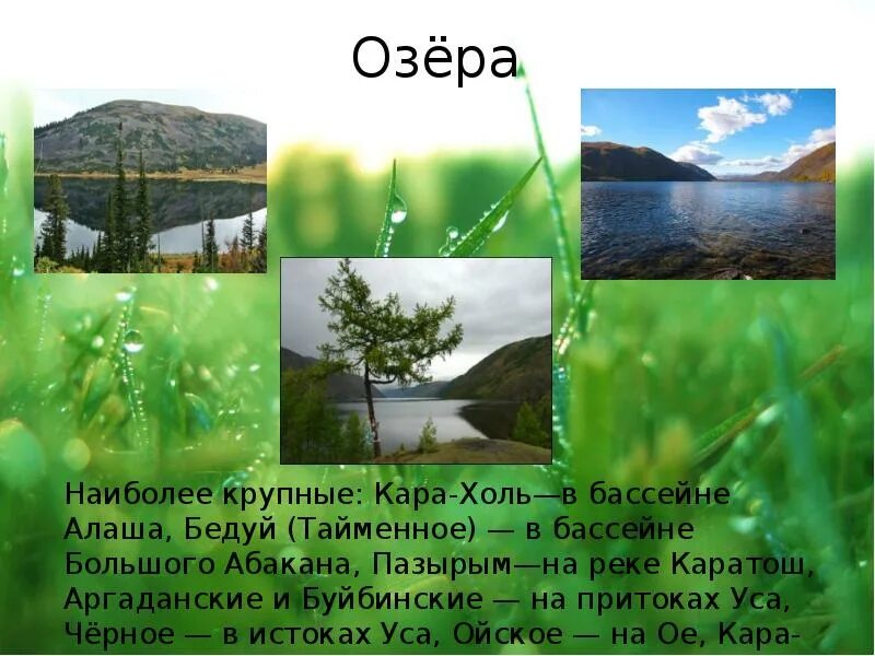 Восточные западные горы саяны. Климатические пояса гора саяны. Горы саяны сообщение. Саяны сообщение для 4 класса. Информация о горе саяны.