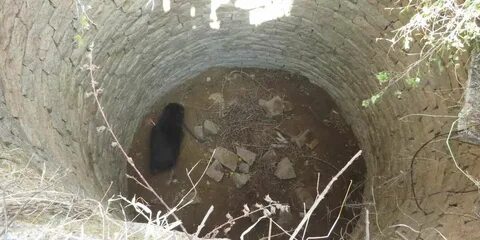 Из мельницы доносится непонятный разговор разбор
