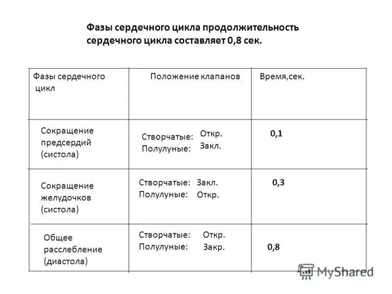 При учащении пульса длительность сердечного цикла