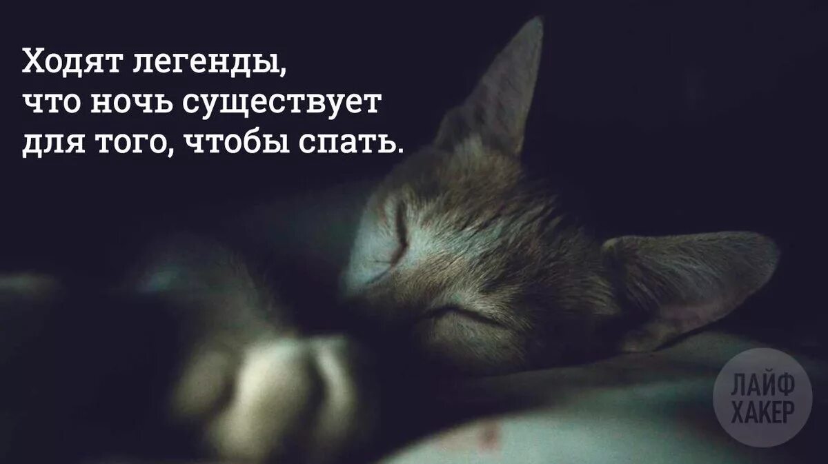 Завидую спят по ночам