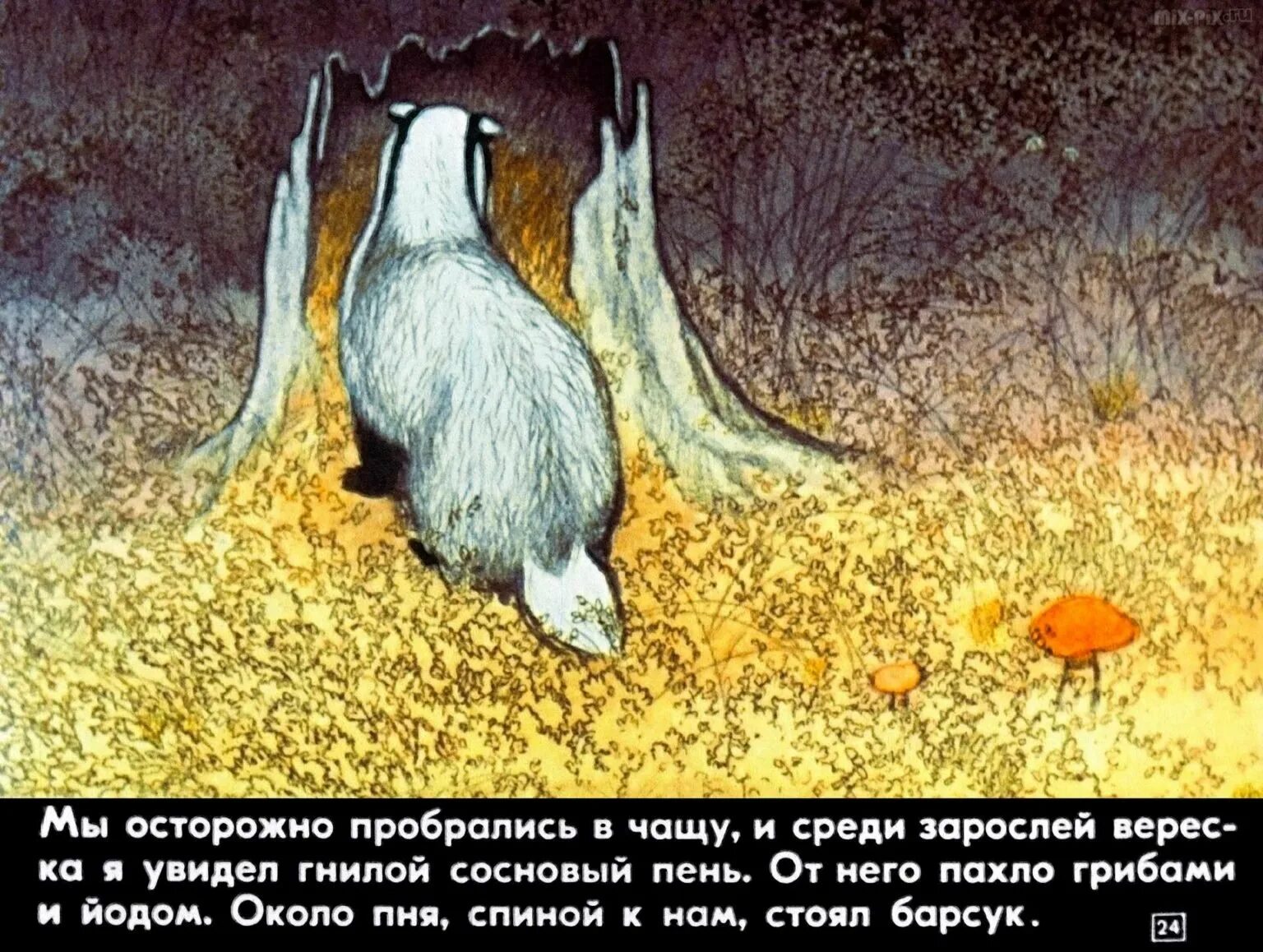 Барсучий нос читать текст. Паустовский барсучий нос диафильм. нос барсука паустовский. константин георгиевич барсучий нос. паустовский барсучий нос иллюстрации.