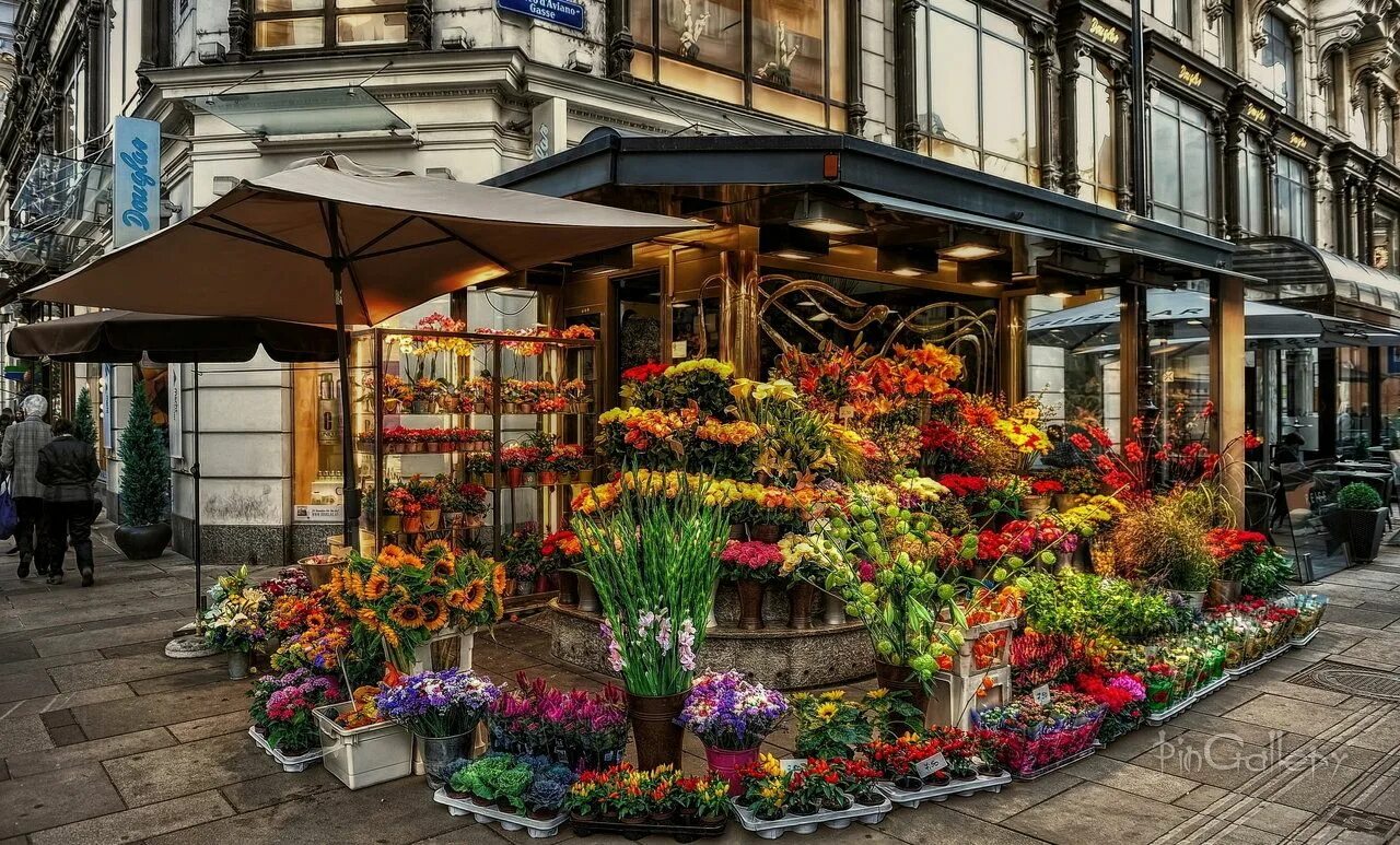 Street of flowers. Магазин цветов. Цветочная Лавка в Европе. Красивые цветочные магазины на улице. Цветочный магазин с улицы.