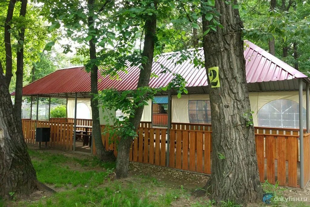 Сазанка саратов турбаза. Турбаза домостроителей. Домостроитель турбаза россия, саратовская область, энгельс. Турбаза строитель энгельс. Турбаза на сазанке в энгельсе.