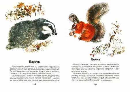 1 произведение чарушина