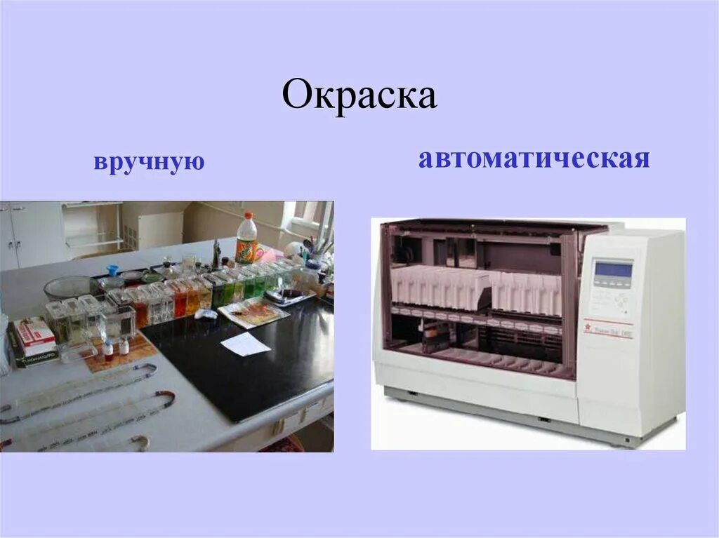 Проводка гистологического материала