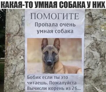 Помогу исчезнуть