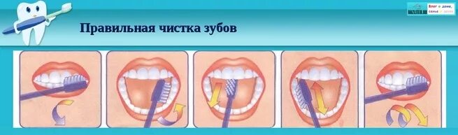 Пошла чистить зубы помыла ванну - фото