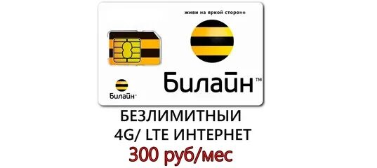 Симка билайн без абонентской платы. Билайн безлимит 4g 250р. сим с безлимитным интернетом билайн за 590. симка билайн с безлимитным интернетом фиолетовая. esim билайн.