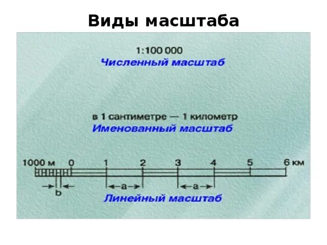 Виды масштабов линейный масштаб. Виды масштаба. масштаб численный именованный и линейный. виды масштаба именованный. линейный масштаб в именованный.