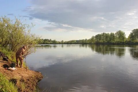 Д клязьминское
