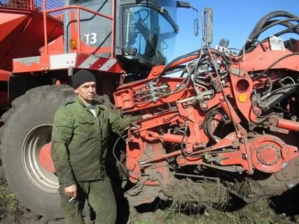 Погода в районе золотая нива