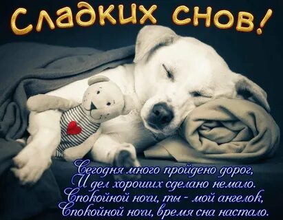 Сладкая сон сборник