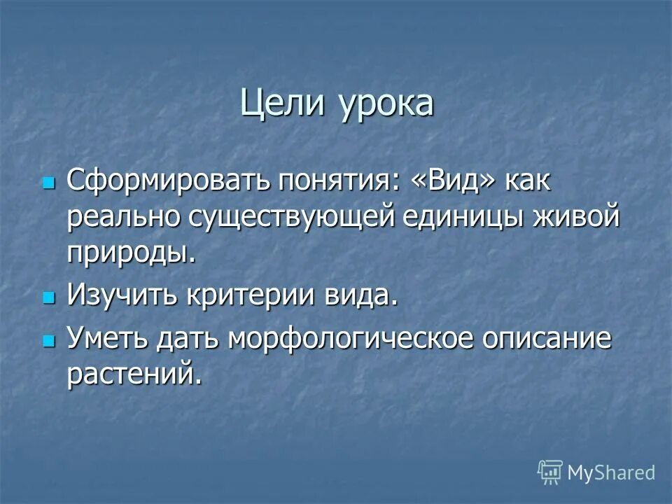 Умеет какой вид. Чем отличается компетентность от компетенции в педагогике. Умеет какой вид. Умеет какой вид. Способы сказать нет.