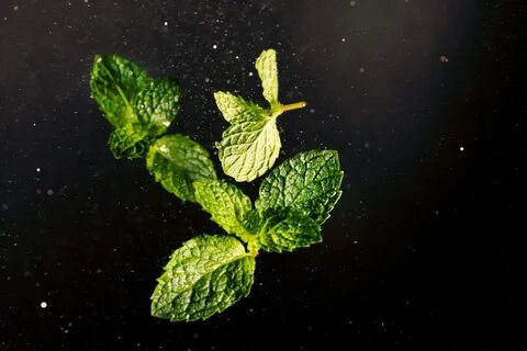 Mint list