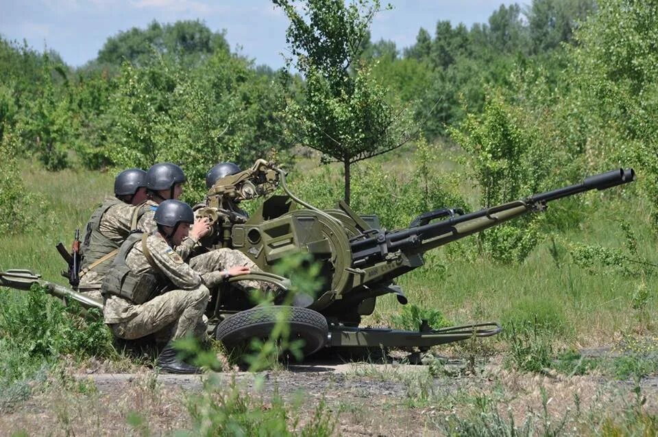 Сво от ополчения. Вооруженные силы Новороссии. Силы Новороссии армия. Сводки ополчения Новороссии. Армия ДНР Зет.