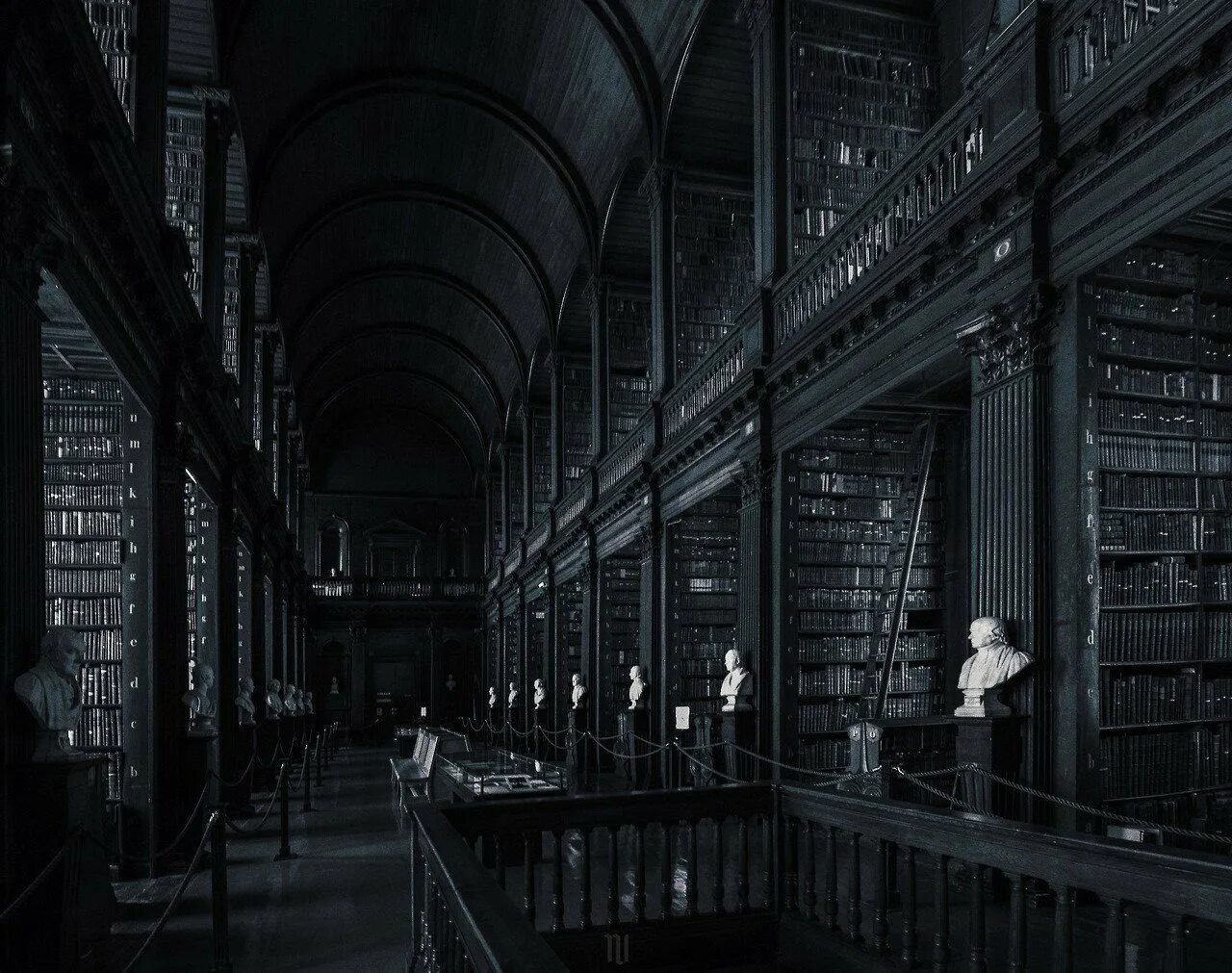 Мрачный писатель. Библиотека Dark Academia. Dark Academia aesthetic архитектура. Дарк Академия Эстетика библиотека. Библиотека Малфой мэнора.