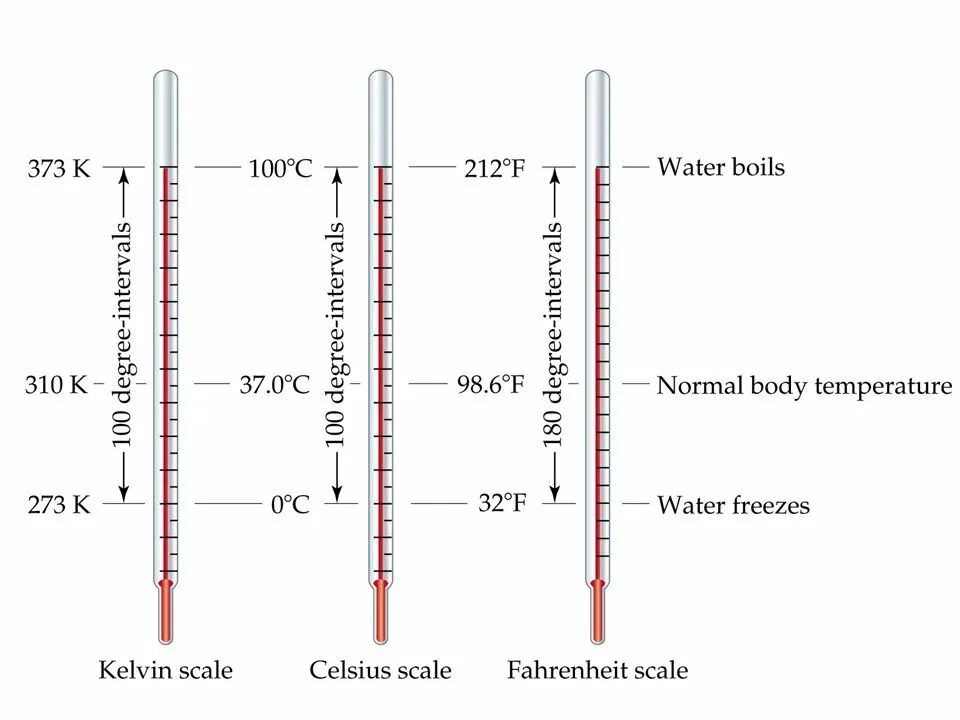 Температурные шкалы фаренгейт цельсий Кельвин. Цельсий фаренгейт Кельвин Реомюр. Температурная шкала Кельвина. Градусник со шкалой Кельвина. Шкалы изменения температуры