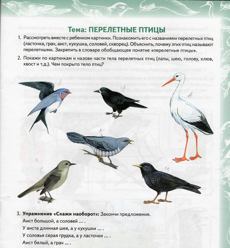 Про перелетные птицы дошкольникам. Домашние логопедические задания перелетные птицы. Лексическая тема перелетные птицы. Пепелетные поицы лексическая темп. Лексические темы для детей перелётные птицы.
